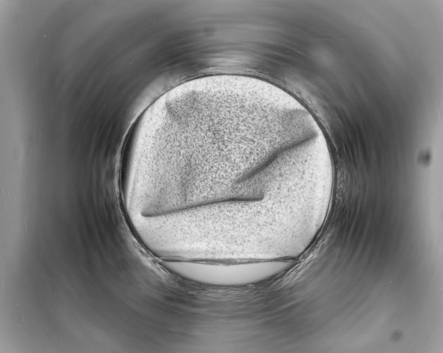 X0000098181386200805221527