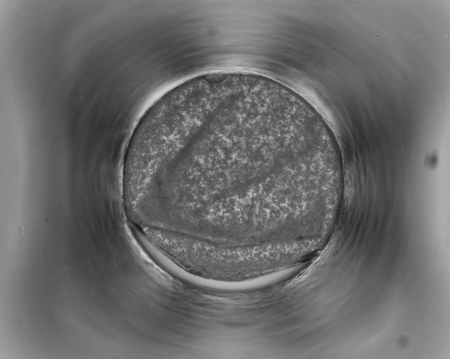 X0000098181388200805221527