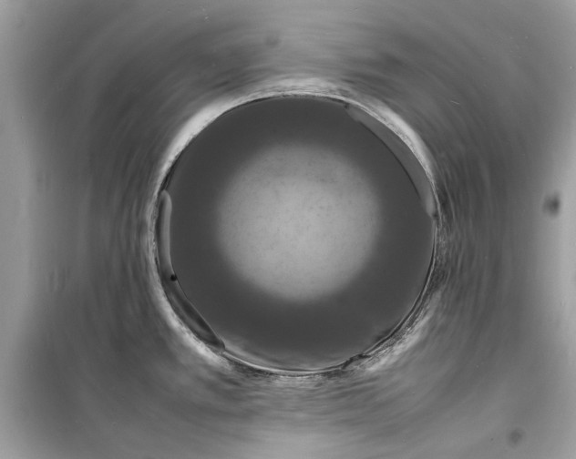 X0000098181389200805221527