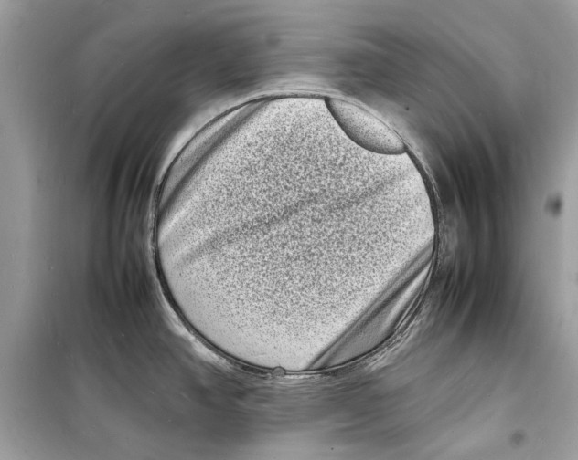 X0000098181390200805221527