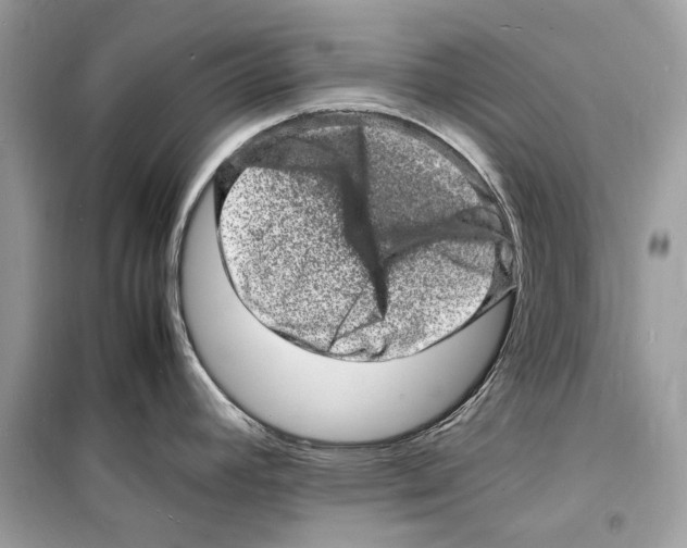 X0000098181392200805221527