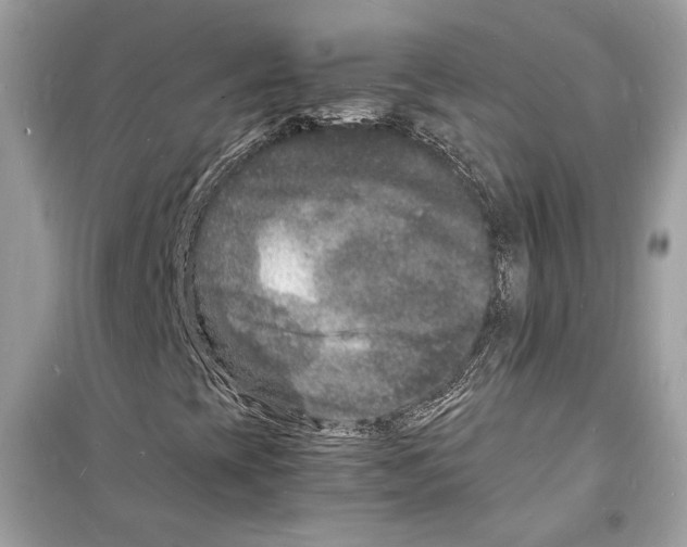 X0000098181393200805221527