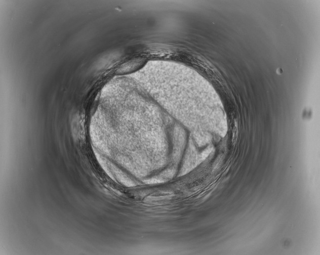 X0000098181394200805221527