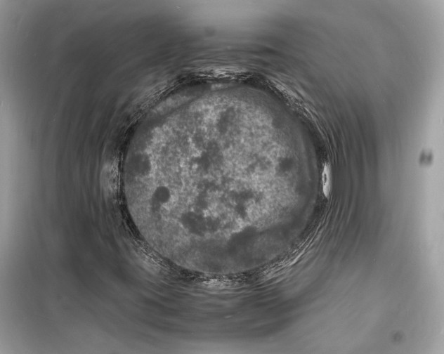 X0000098181395200805221527