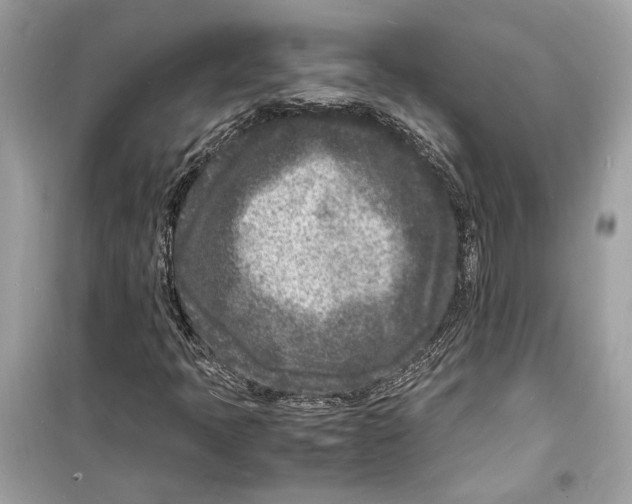 X0000098181397200805221527