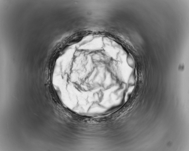 X0000098181398200805221527