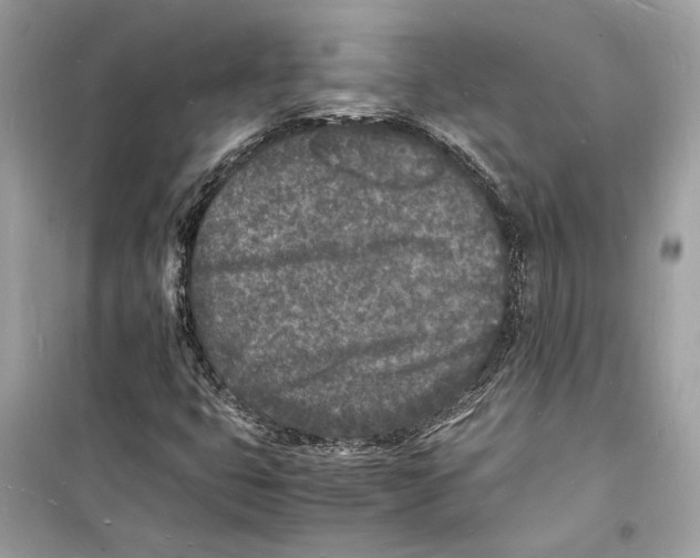 X0000098181399200805221527