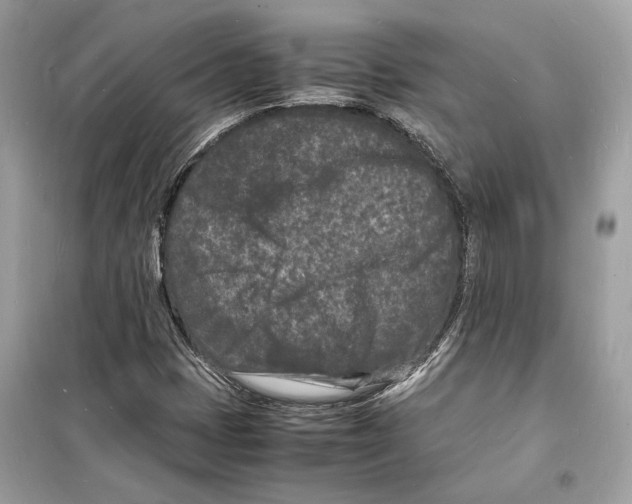 X0000098181401200805221527