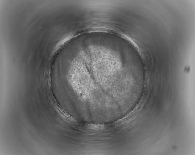 X0000098181403200805221527