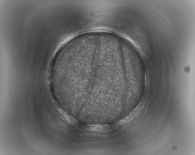 X0000098181405200805221527