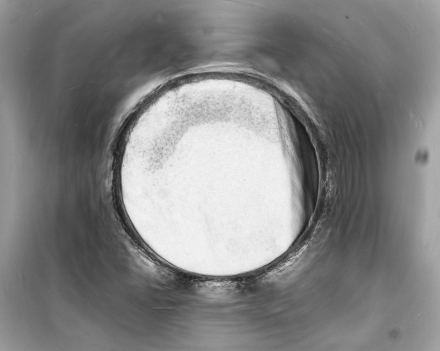 X0000098181406200805221527