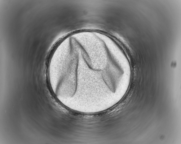 X0000098181408200805221527