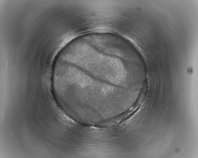 X0000098181410200805221527