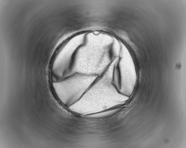 X0000098181412200805221527