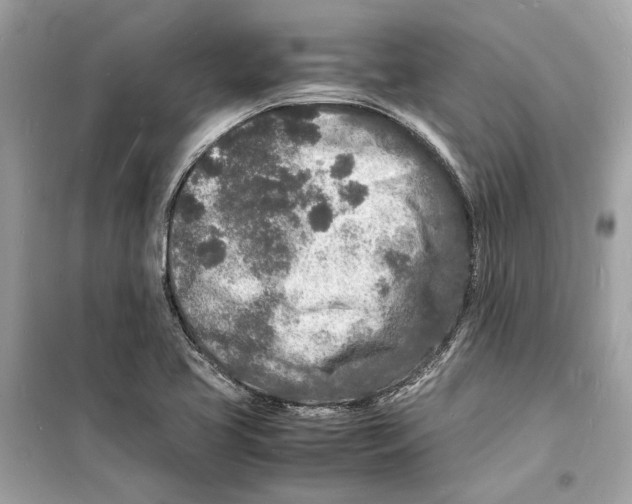 X0000098181413200805221527