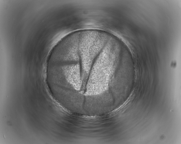 X0000098181415200805221527