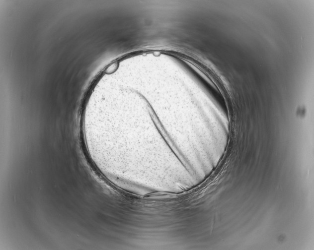 X0000098181416200805221527