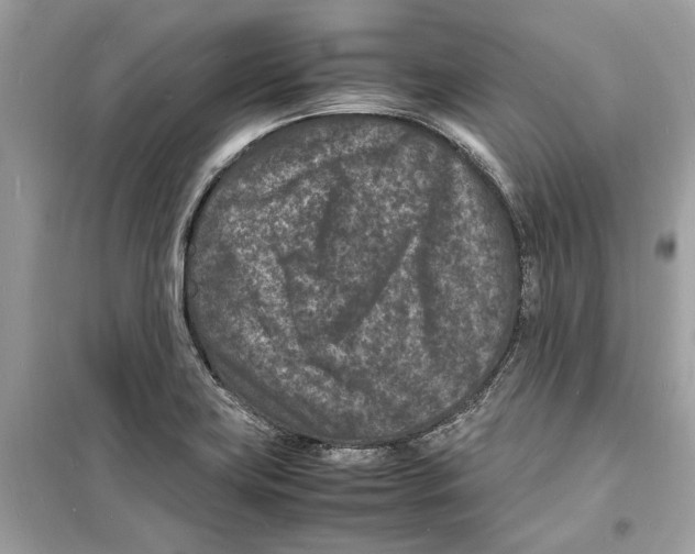 X0000098181419200805221527