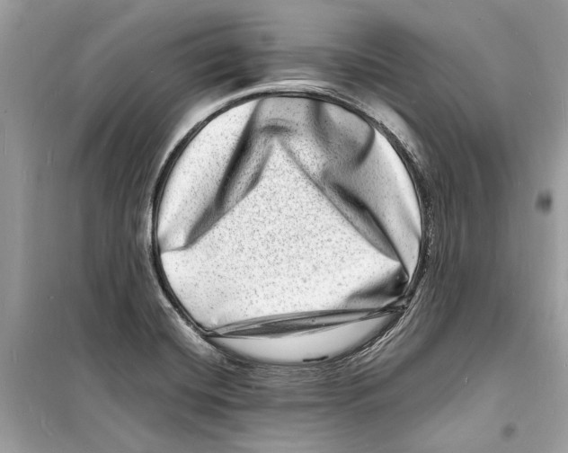 X0000098181420200805221527