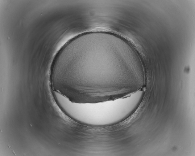 X0000098181422200805221527