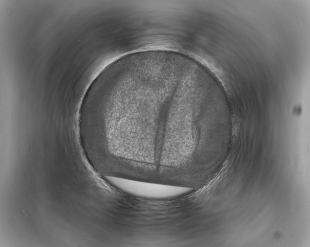 X0000098181423200805221527