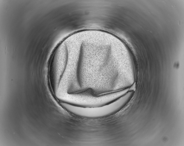 X0000098181424200805221527