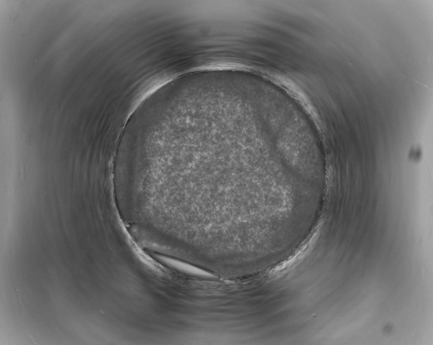 X0000098181425200805221527