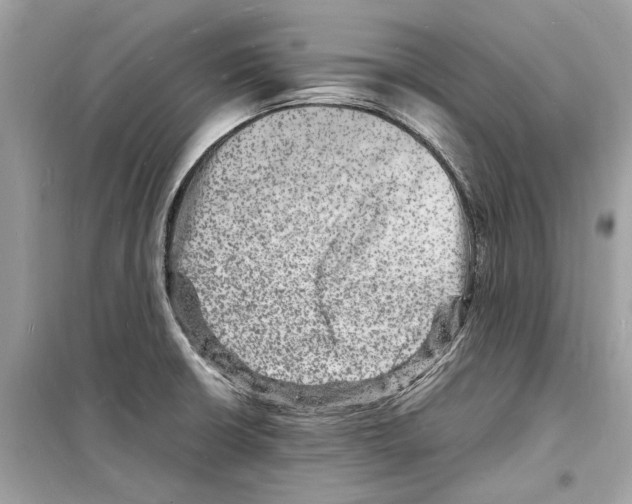 X0000098181426200805221527