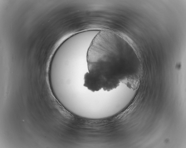 X0000098181427200805221527