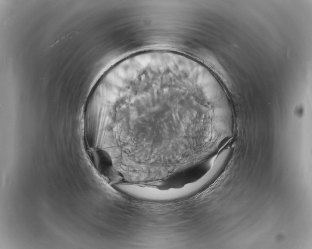 X0000098181428200805221527