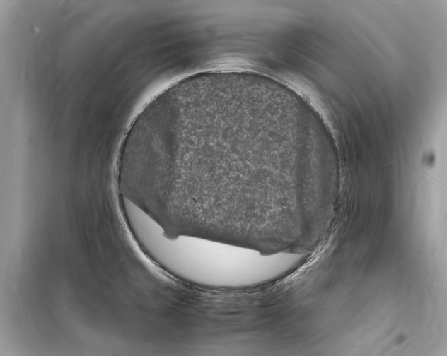 X0000098181429200805221527