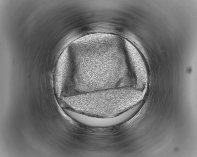 X0000098181433200805221527