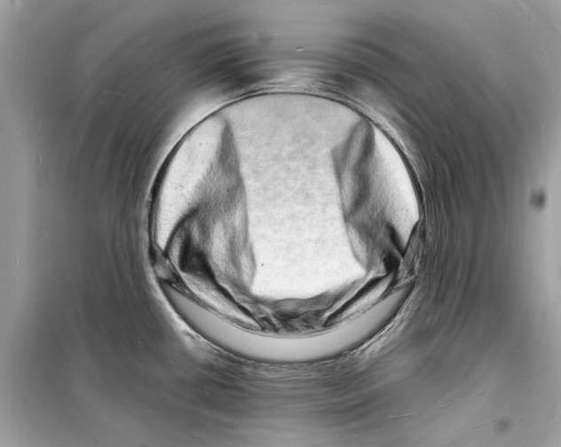 X0000098181434200805221527