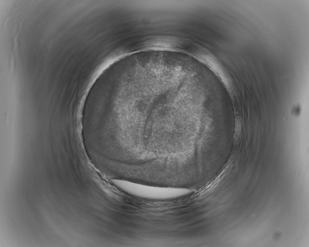 X0000098181435200805221527