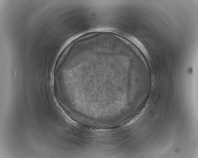 X0000098181436200805221527