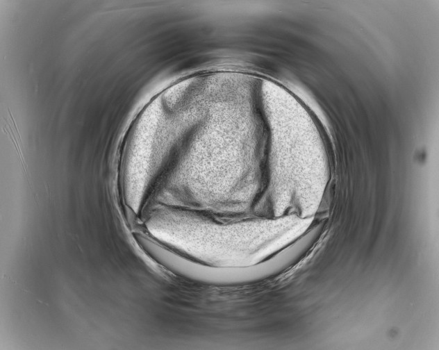 X0000098181437200805221527