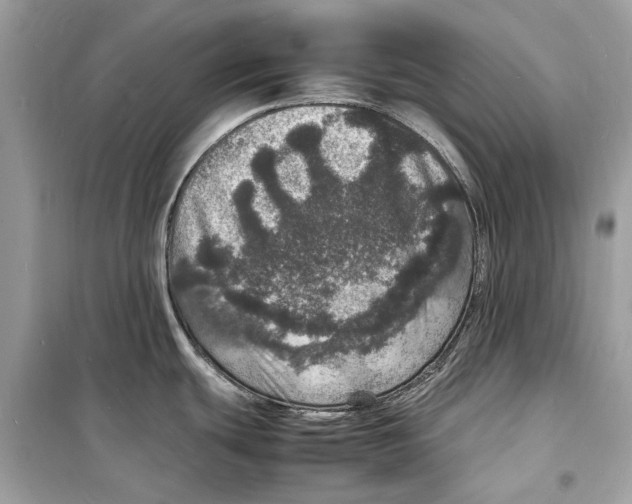 X0000098181439200805221527