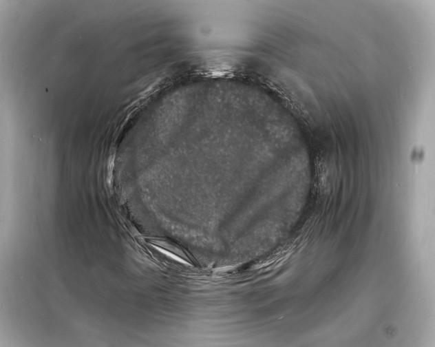 X0000098181442200805221527