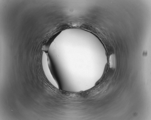 X0000098181443200805221527