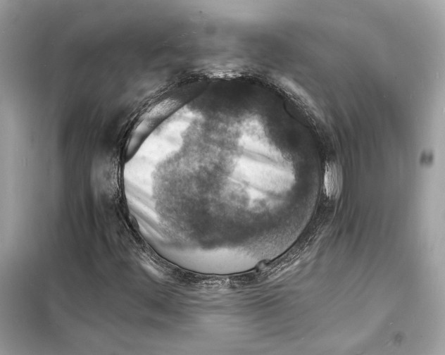 X0000098181444200805221527