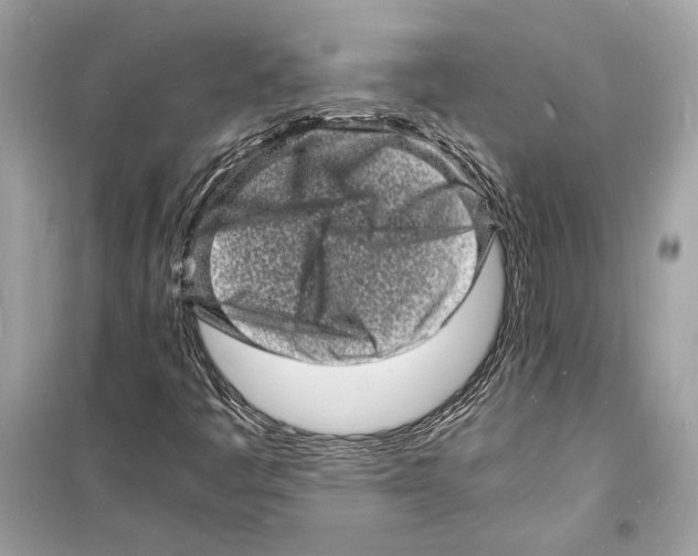 X0000098181445200805221527