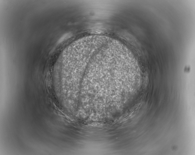 X0000098181446200805221527