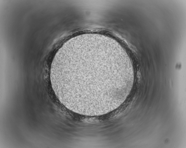 X0000098181447200805221527