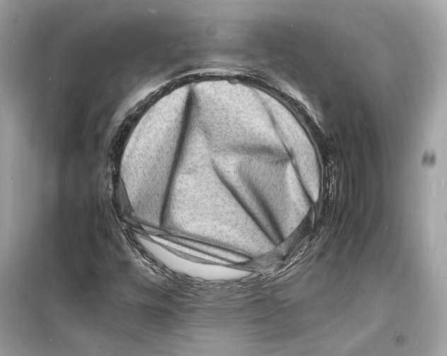 X0000098181448200805221527