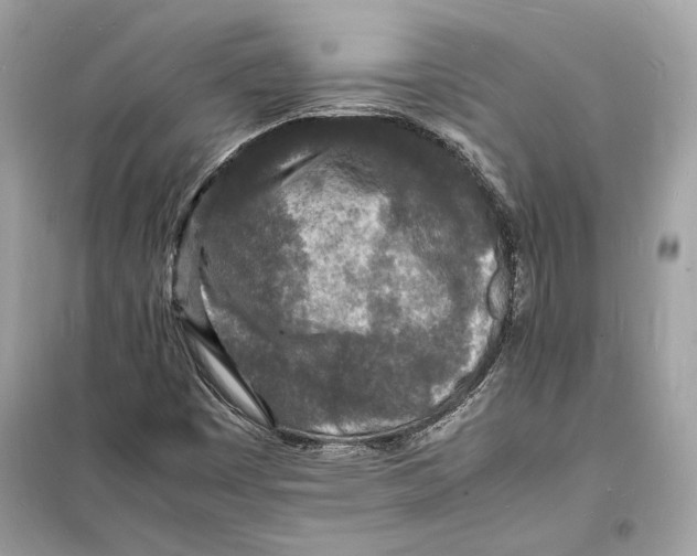 X0000098181449200805221527