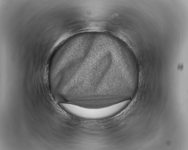 X0000098181450200805221527