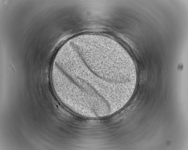 X0000098181451200805221527