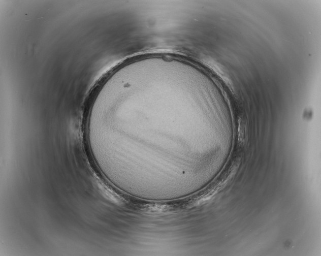 X0000098181452200805221526