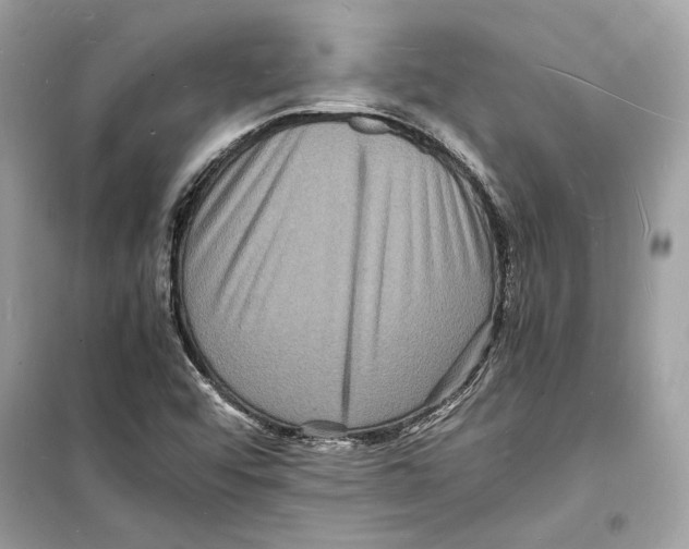 X0000098181456200805221526