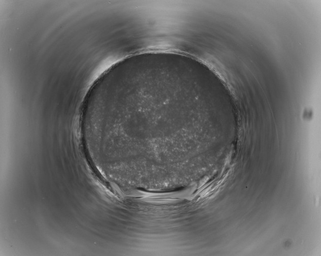 X0000098181458200805221526